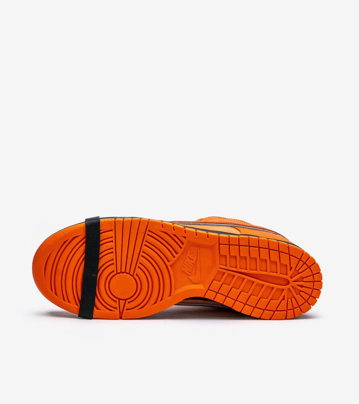 Nike SB Dunk Low Concepts x Orange Lobster — FD8776-800