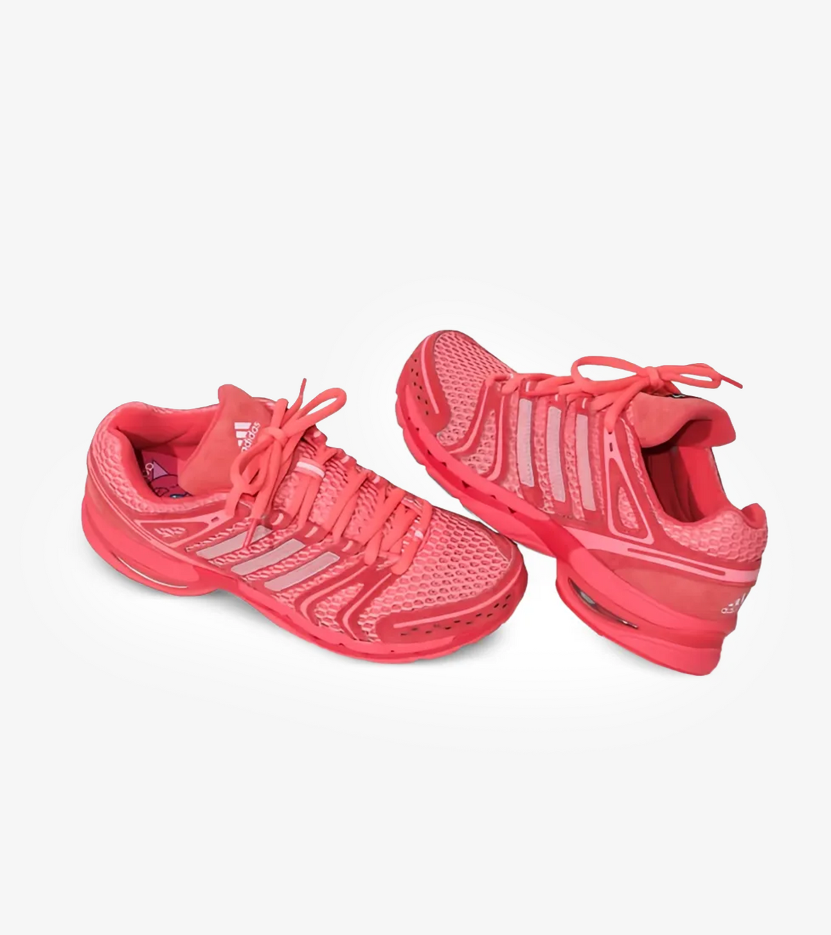 Adidas Adistar Control 5 × UNheardof Pork Chop Piggy Runner 2.0 — Steve-O